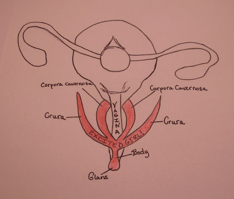 Illustration for article titled 10 Things You Probably Didn't Know About Love and Sex